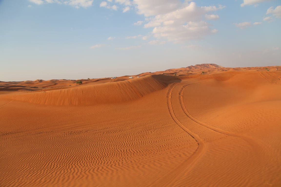 Types Of Red Dune Desert Safari