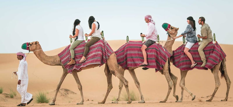 Safari in Dubai Explore the Desert’s Beauty & Thrills gallery image 2