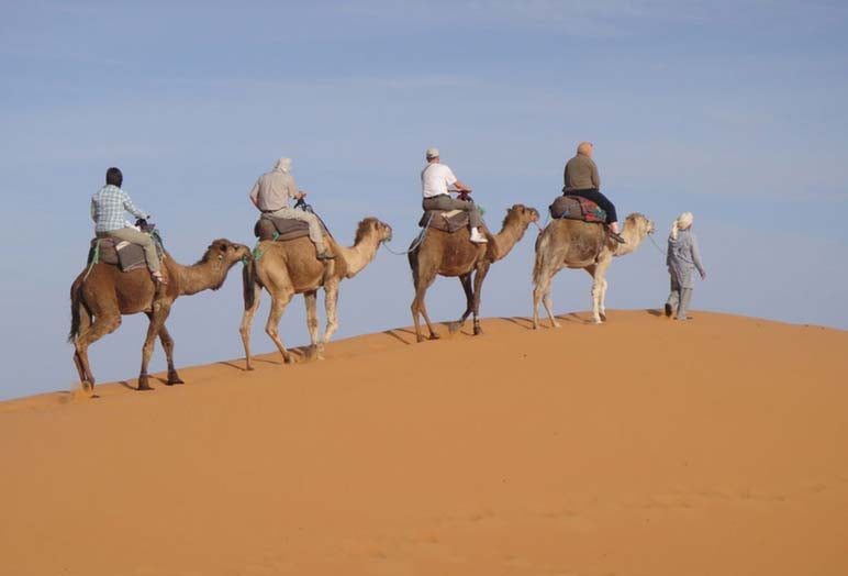 Al Dhabi Pony And Camel Rental