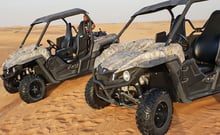 Kawasaki 2 Seater