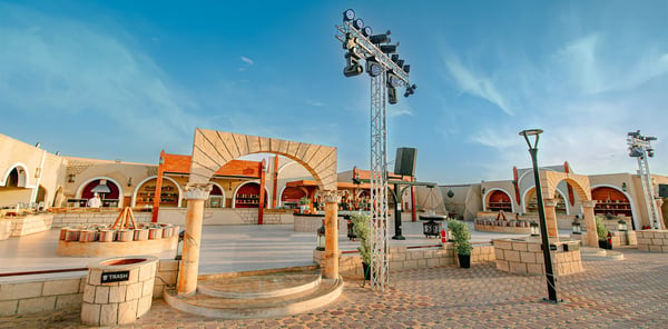 Desert Safari Dubai With Sandboarding, BBQ Dinner & Live Shows – photo 5