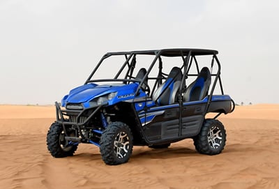 Kawasaki 4 Seater