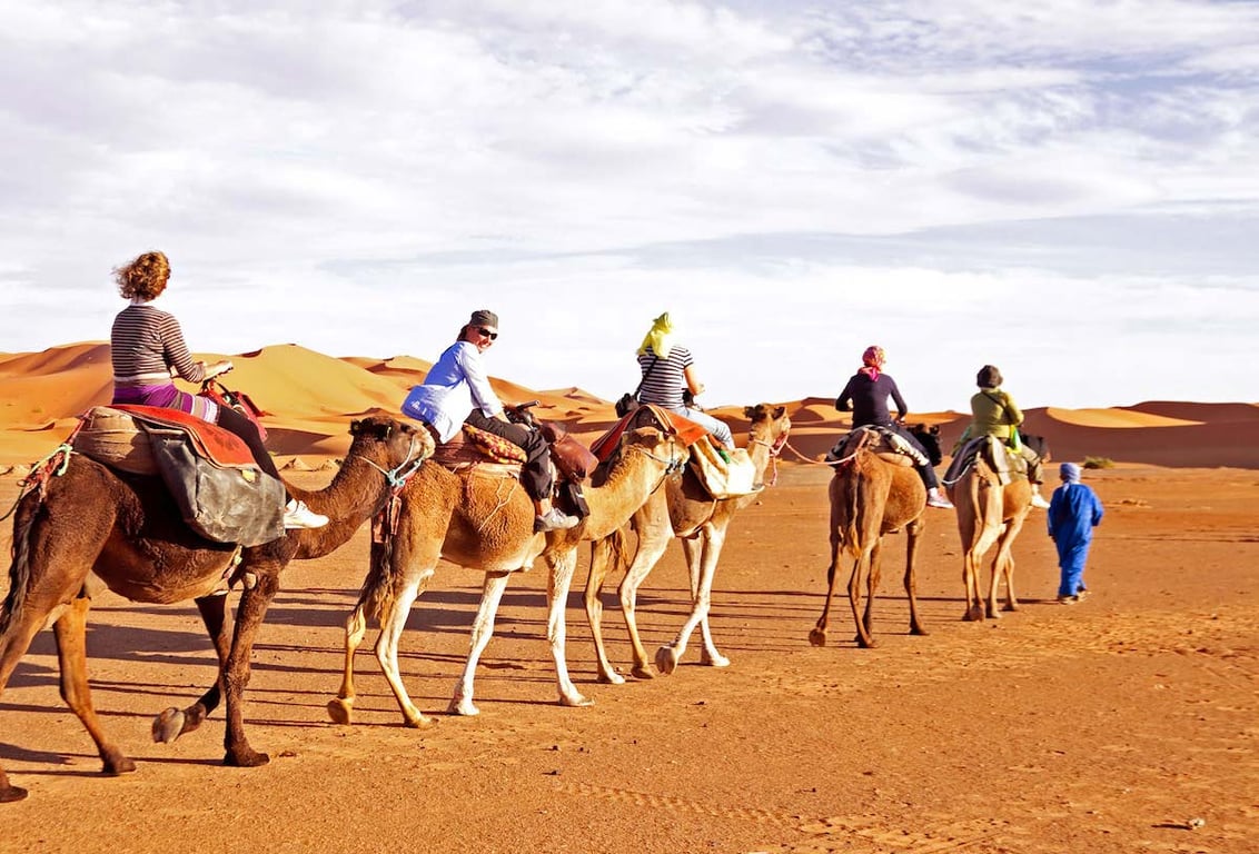 •	Camel riding: