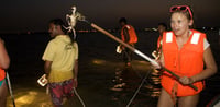 Dubai Travel And Tours