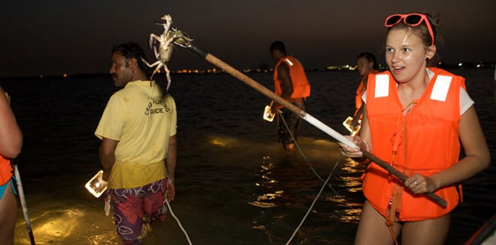 Dubai Travel And Tours