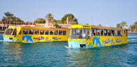 Dubai Travel And Tours