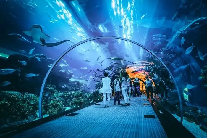 14.	  Dubai Aquarium
