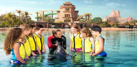 Dubai Travel And Tours