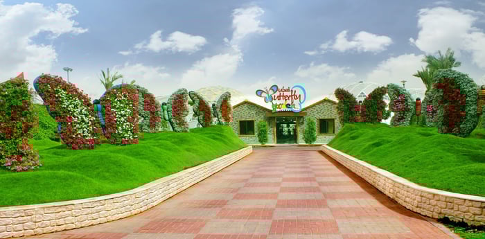 Dubai Travel And Tours