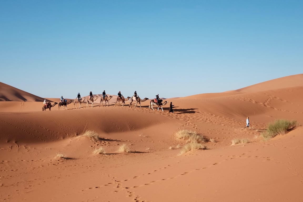 Desert Safari Is An Ultimate Spot
