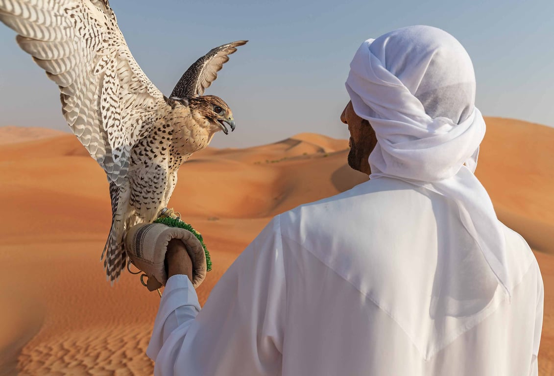 Go To A Desert Falconry