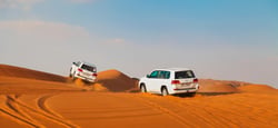 Safari in Dubai