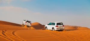 4-Hours Private Safari