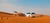 sunrise desert safari