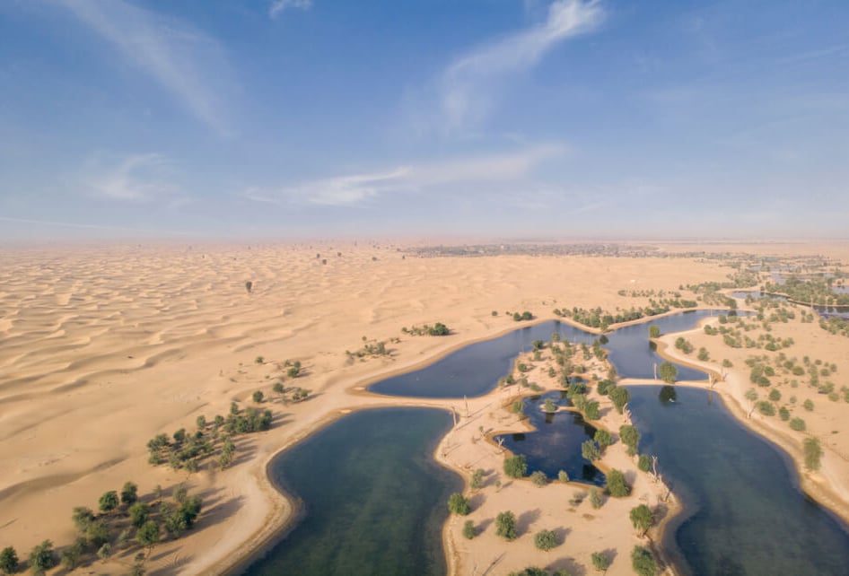 The Al Qudra Desert is Popular Among the Locals