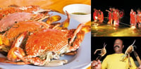 Dubai Travel And Tours