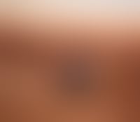 Dubai Travel And Tours