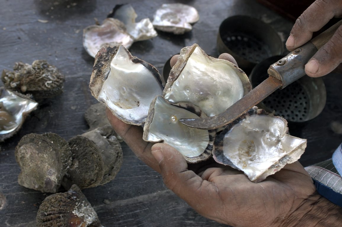 3.	An Excellent Chance To Learn About Dubai's Pearl Industry