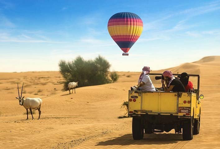 Hot Air Balloon Falconry