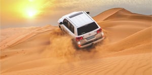 Sunrise Desert Safari with Quad Biking, Sand Boarding & Photo with Falcon