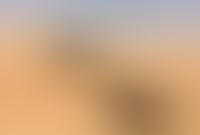 Liwa Desert
