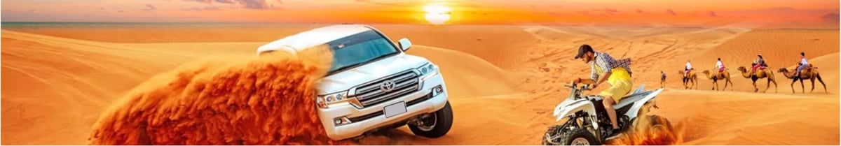 Corporate Desert Safari Dubai Overview image