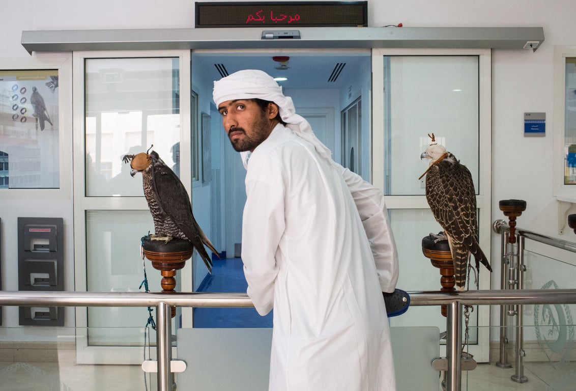 About Falcon Museum