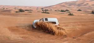 Morning Desert Safari with Camel Riding