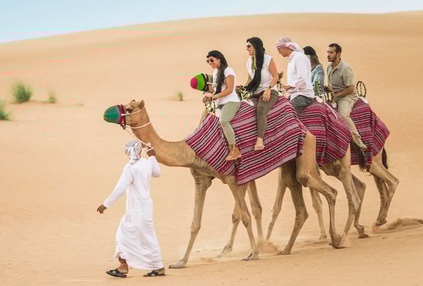 Camel Riding