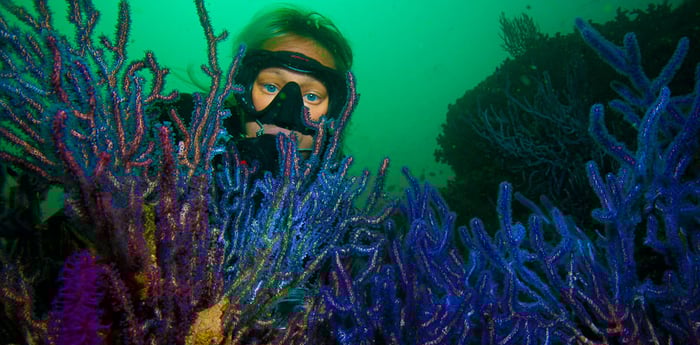 Dubai Travel And Tours