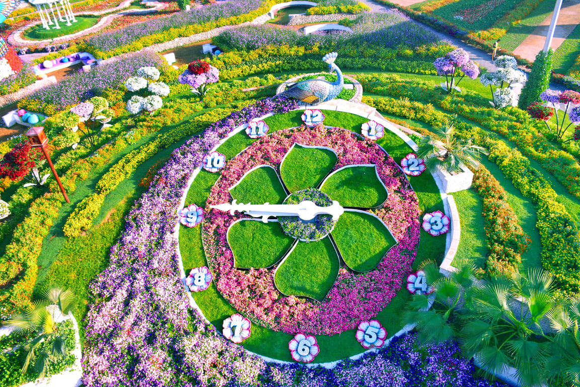 Amphitheater At Dubai Miracle Garden