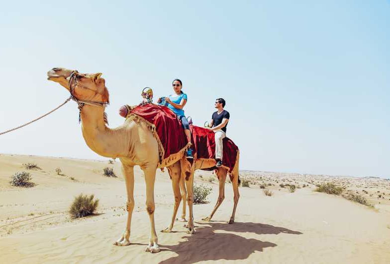 Why Choosing Dubai Packages For Camel Riding At Red Dunes