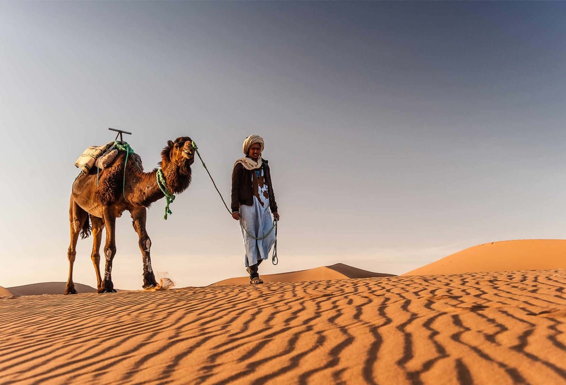 Camel Ride In The Desert