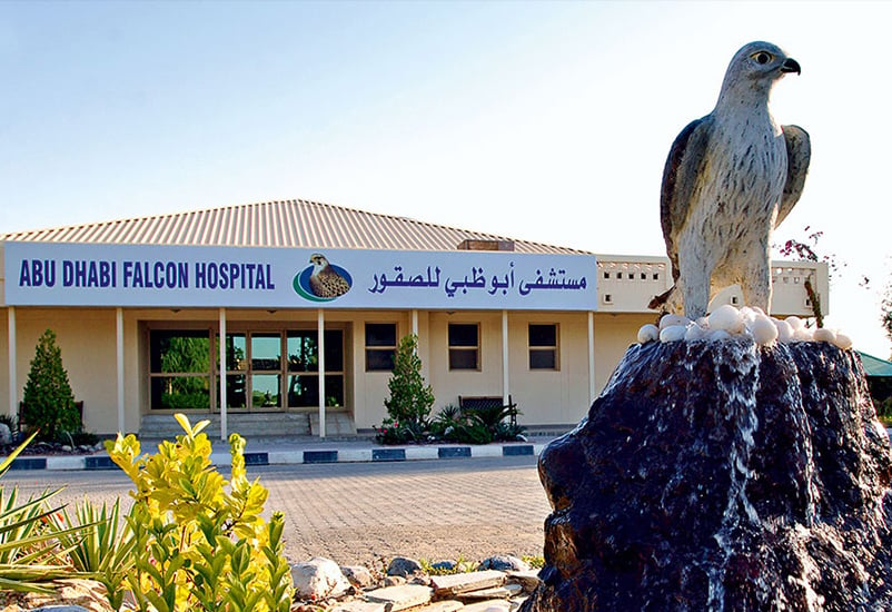 13.	 Falcon Hospital