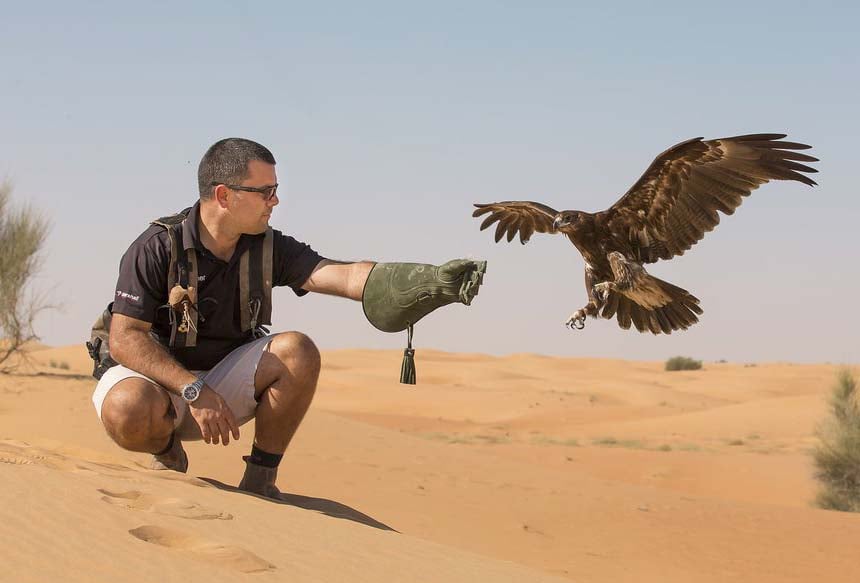 iv.	Photo With A Falcon