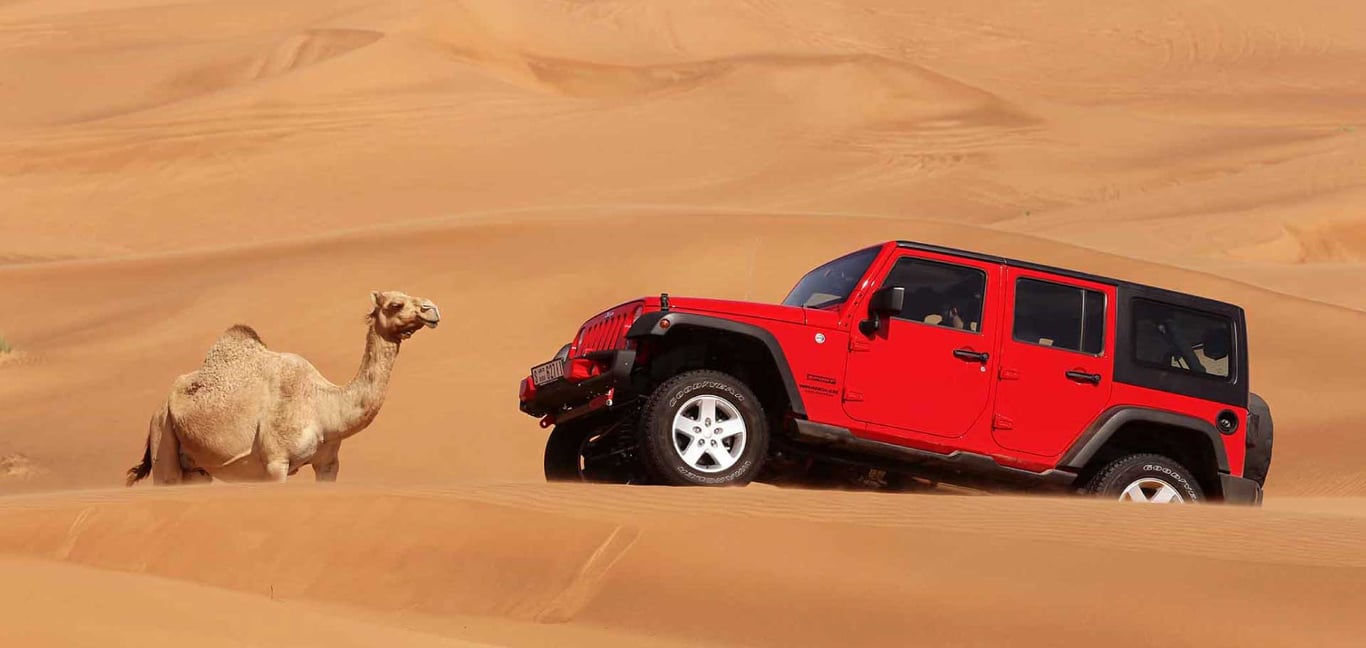 1.	Take A Jeep Safari