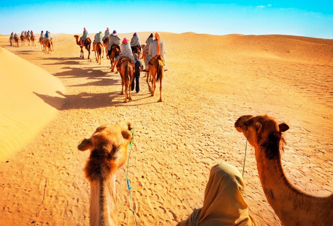 Camel Ride In The Desert