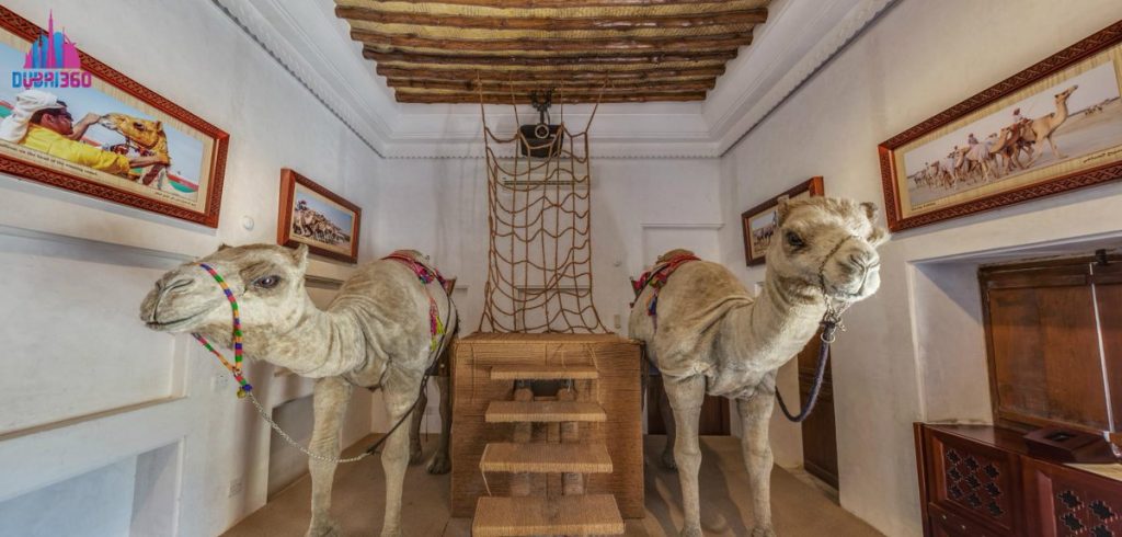 Things To See At Camel Museum Dubai