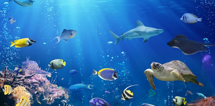 Dubai Travel And Tours