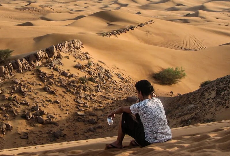The Best Dubai Desert Safari: How To Choose?