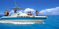 Dubai Travel And Tours