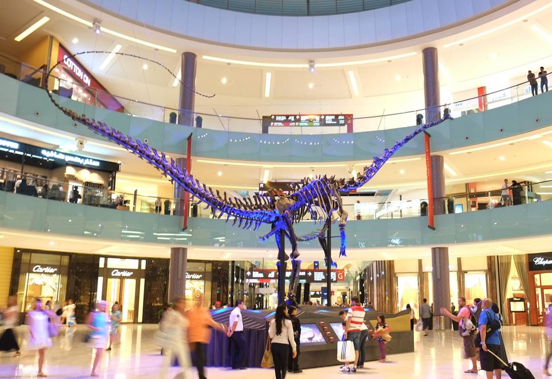 x.	Giant 155 Million-Year-Old Dinosaur