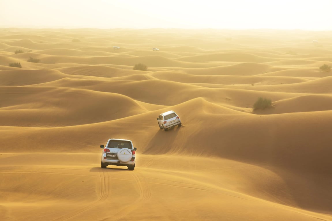 Dubai's Best Opulent Desert Safari