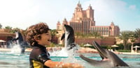 Dubai Travel And Tours