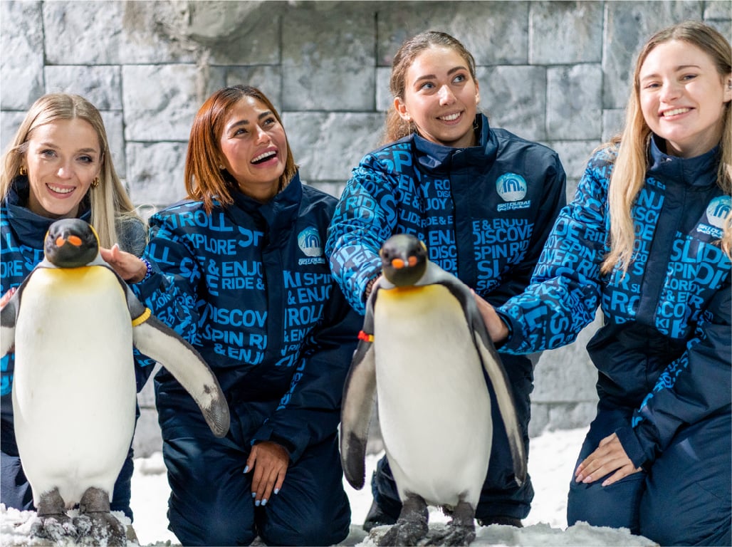 What To Expect At Ski Dubai's Penguin Encounter