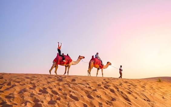 Red Dunes 4