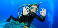 Dubai Travel And Tours