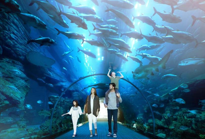 New Year's Eve At The Underwater Zoo & Aquarium In Dubai