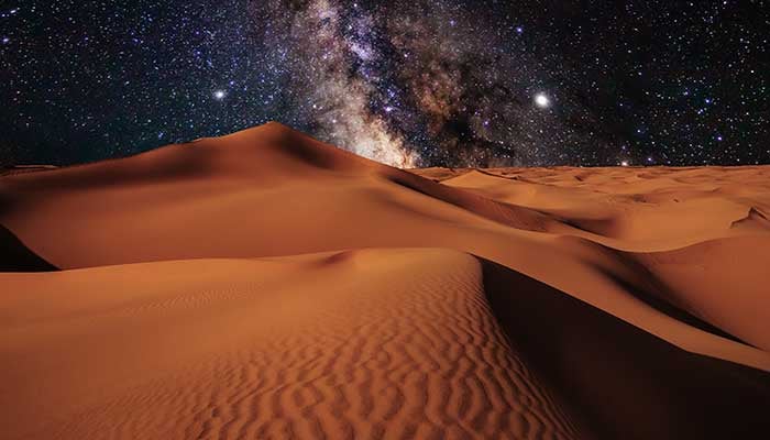 Take A Part In Investigating The Desert At Night