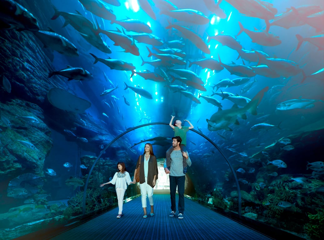 9.	The Dubai Aquarium